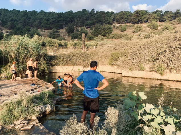 Roman springs in the North